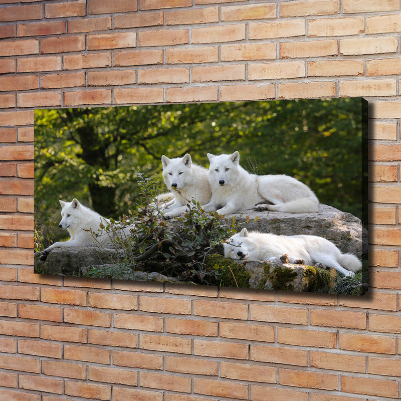 White Wolves Rock - Wrapped Canvas Print