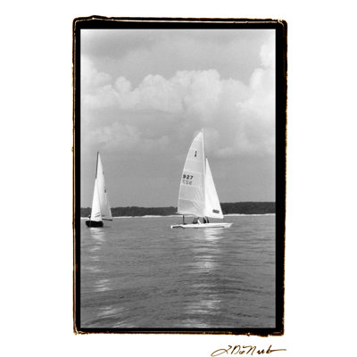 Ocean Breeze III by Laura DeNardo - 1 Piece Wrapped Canvas Wall Art