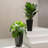 Amimma Self-Watering Rectangular Tall Planters-1514712164-1514712186-1579801031