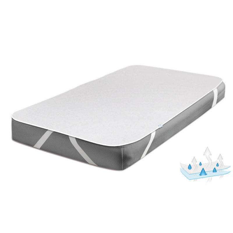 Symple Stuff Mattress Protector Mattress