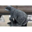Decoteau Animals Weather Resistant Fiberstone Garden Statue