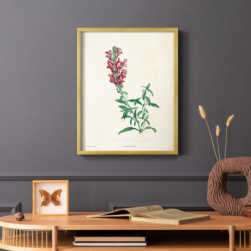 «Traditional Botanical I», reproduction encadrée - bois massif, H 10 po x l 8 po