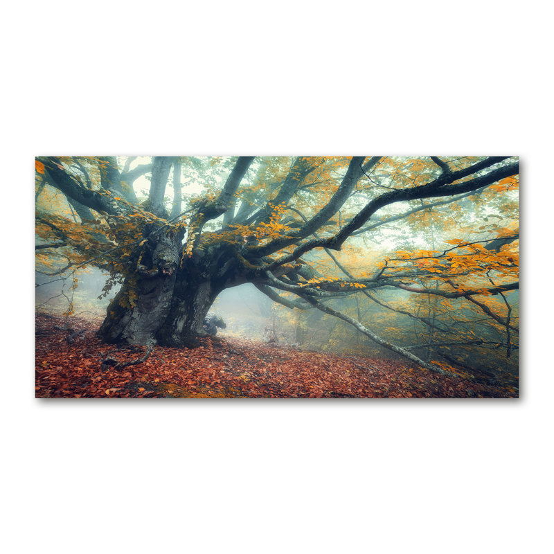Old Tree - Wrapped Canvas Print, Canvas, 70cm H x 140cm W 