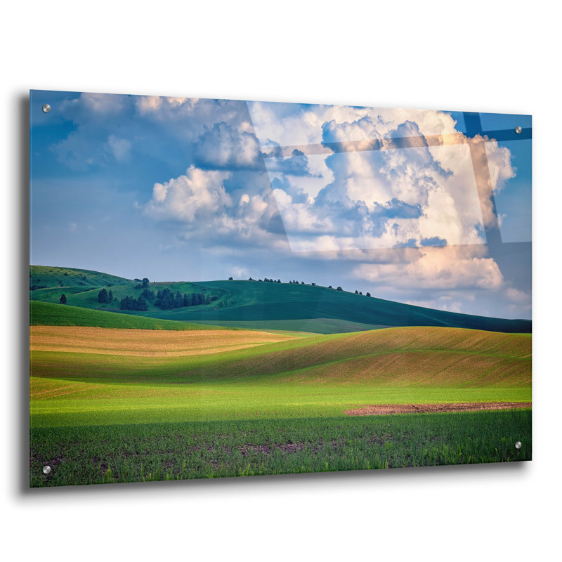 Art mural en verre Ebern Designs, H 24 po x l 36 po x P 0,2 po