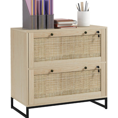 2 Drawer File Stand - Locked With Accent Adjustable Hanging Bar For Different Paper Formats Natural Enchantment Cabinet Vertical Office Organizer Quality, For Multiple Dimensions Coloring