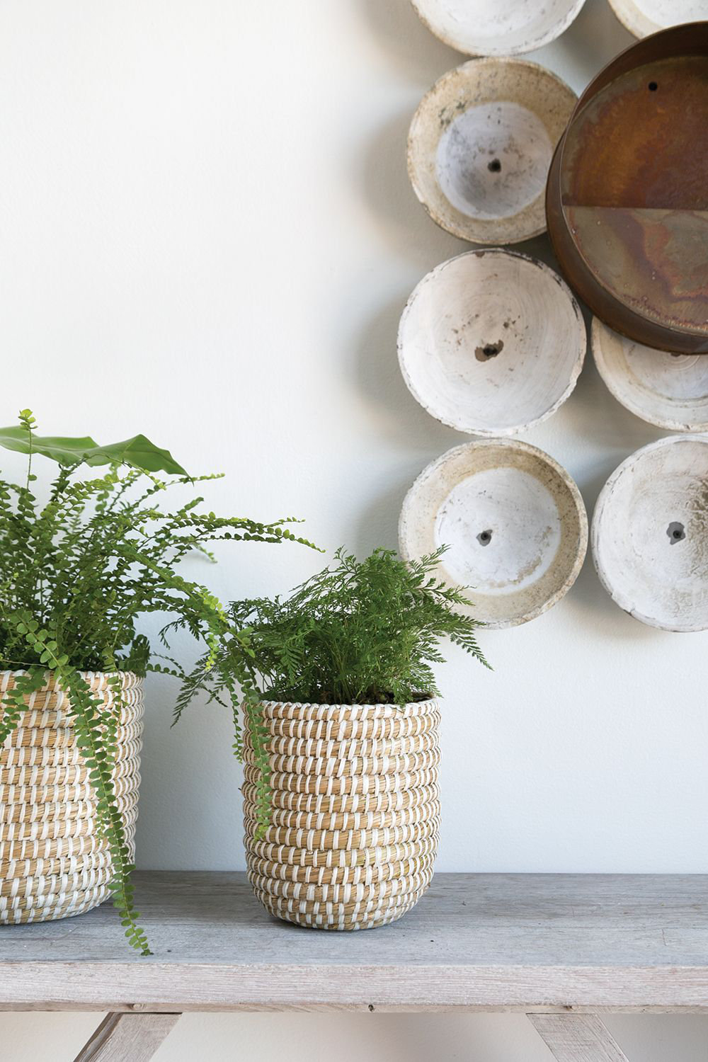Abbs 10" Pot Planter, 7.75" H x 7" W x 7" D