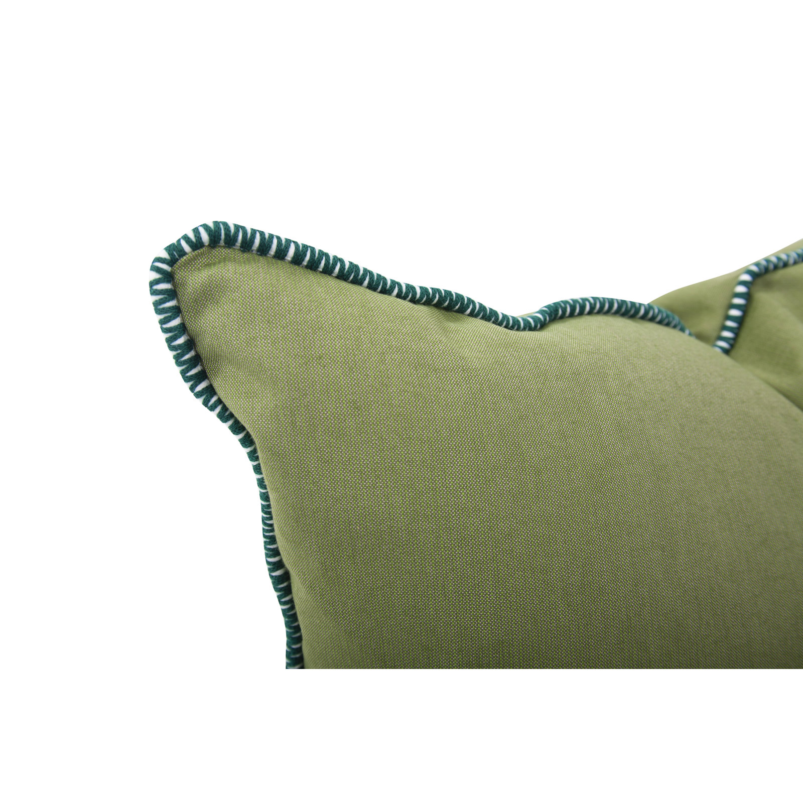 Delijah Sunbrella® Indoor/Outdoor Throw Pillow, Seascape Moss, 24" x 24"