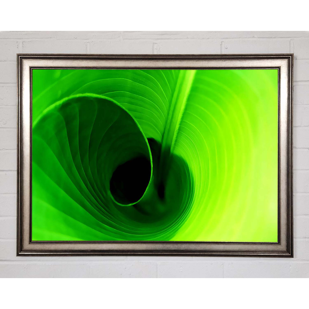 Twist Of A Green Leaf - Einzelner Bilderrahmen Kunstdrucke