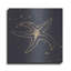 «Gold Starfish III» par Chris Paschke-384819840