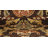 Pioneer Indoor Rug-334518931