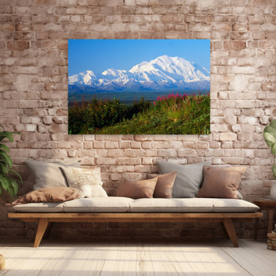 Vue du mont Mckinley enneigé depuis le parc national de Denali, Alaska, États-Unis. Paysage de montagne contemporain abstrait et tranquille
