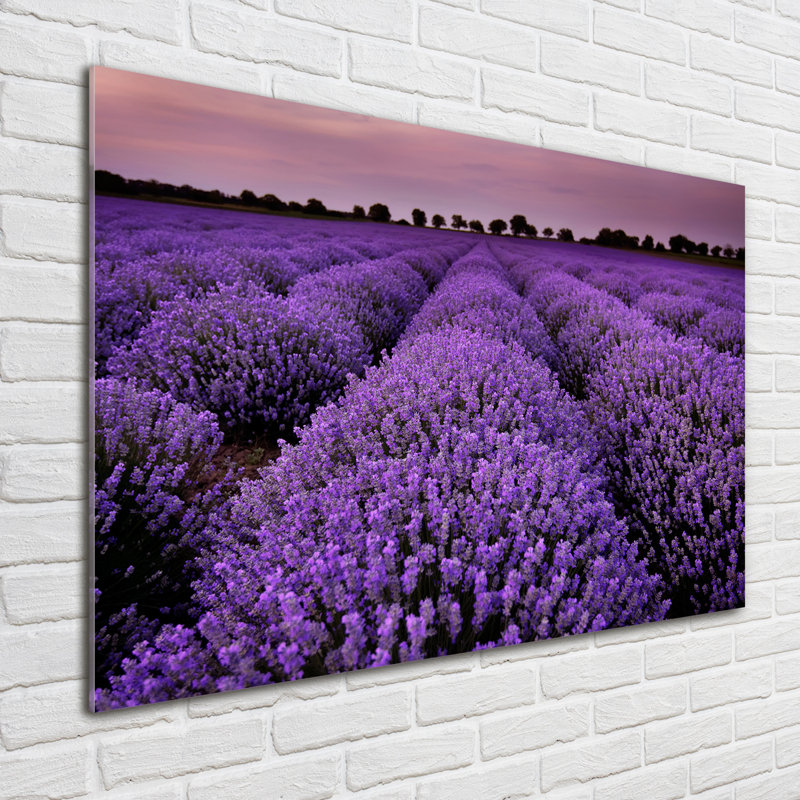 Lavender Field - No Frame Print on Glass