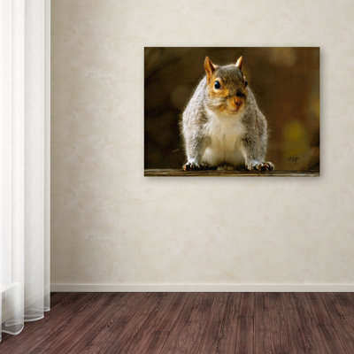 Lois Bryan - Photograph on Canvas