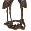 Bain d'oiseaux Crane Lily-497338012