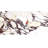 Cala Rosso 12" x 24" Viola Polished Porcelain Tile