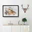 Portrait Of A Red Kite Bird Watercolour - Single Picture Frame Print on MDF-56741032-56741040