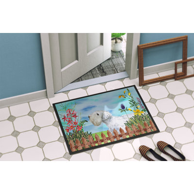 Non-Slip Outdoor Doormat
