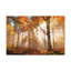No Frame Print on Canvas-1626906356