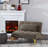 Terresia Upholstered Accent Chair with Ottoman-1524082444