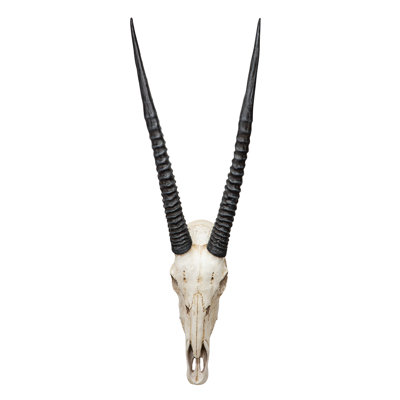 Gemsbok African Wall Trophies Sculpture
