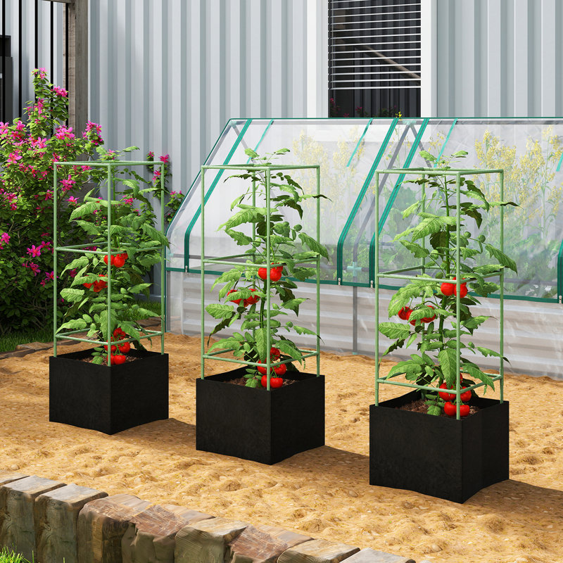 Ensemble de 3 cages à tomates avec sacs de culture de 13,5 gallons