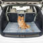 Tapis de lit pour chat lavable The Avalon Society, 36 x 48 po-121373152-121373146
