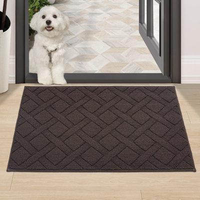 Non-Slip Indoor Doormat