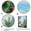 «Tropical Windows To The Beach II - Coastal Windows», art mural-1935572425-1935572466