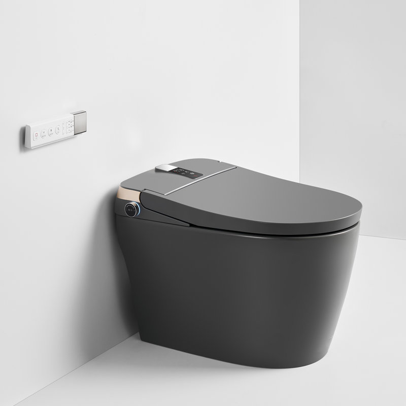 15-3/4'' H Floor Mount Smart Toilet with Tankless and Soft-closing Heated Seat, Matte Gray with Tankless