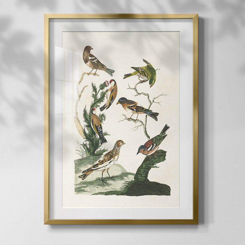 «Silent Energy I», reproduction encadrée, Oui, Blanc, Papier avec cadre doré