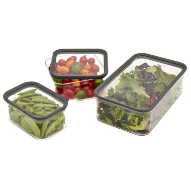 Bolanger 3 Container Food Storage Set Prep & Savour Color: Pink