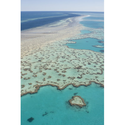 Great Barrier Reef - Wrapped Canvas Print