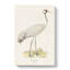 Common Crane by Von Wright - Wrapped Canvas-55313981