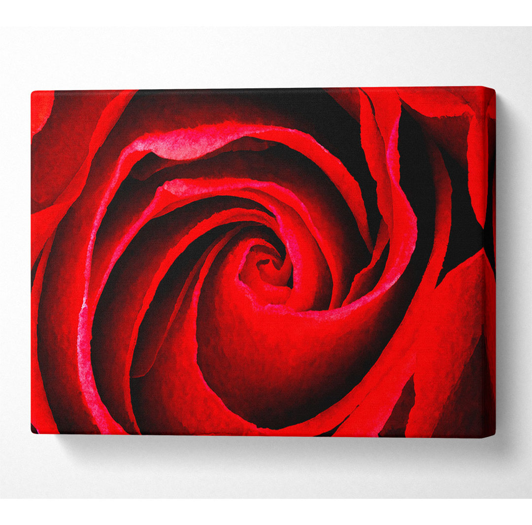 Gerahmtes Leinwandbild Red Rose Silk