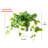 Faux Foliage Plant in Ceramic Pot-450843450-462439896