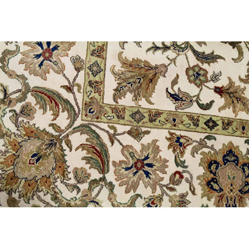 Oriental Area Rug