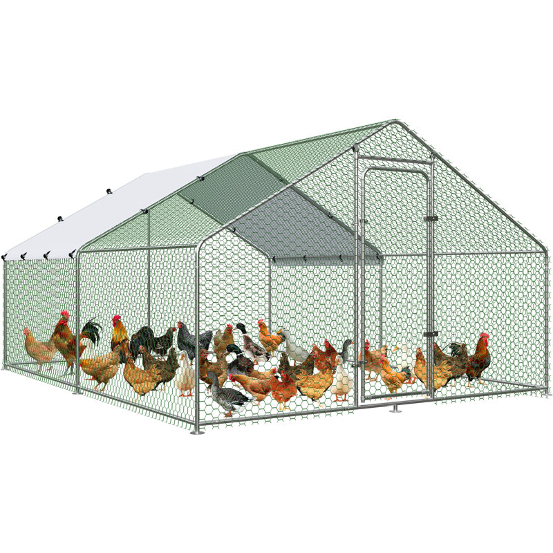 Denne Walk In Chicken Run, 78" H x 117" W x 157.2" D