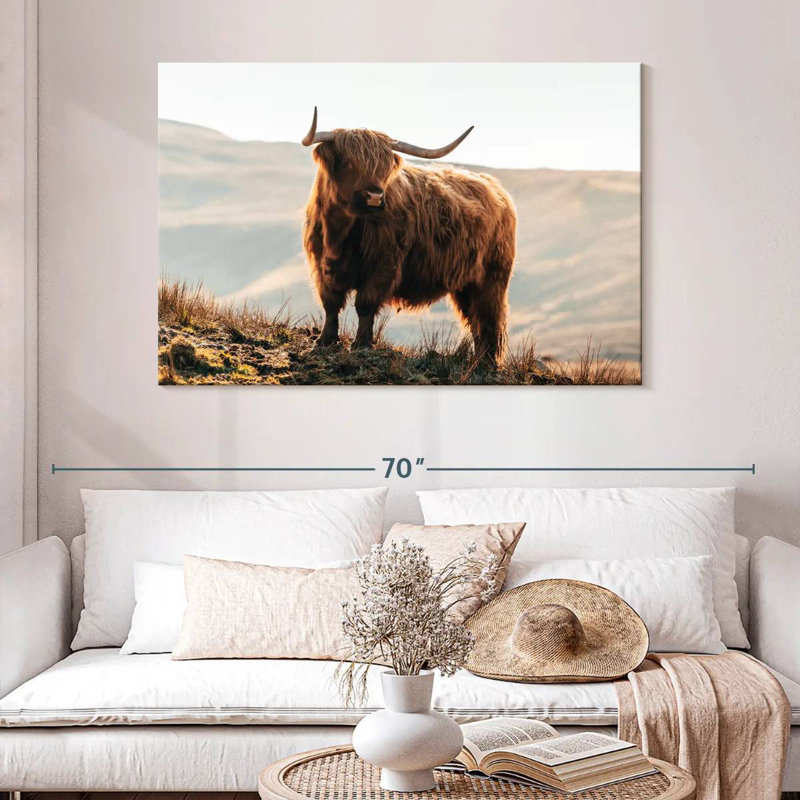 Vache Highland Isle of Skye, H 32 po x l 48 po