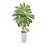 Artificial Dracaena Tree 5 ft, Fake Palm Tropical Plants with White Tall Planter, Faux Floor Silk Plant in Pot, Large Trees for Home Office Living Room Decor House Warming, Indoor Outdoor-1288174162