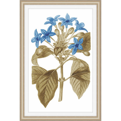 Midsummer Zeal 2 Framed Print