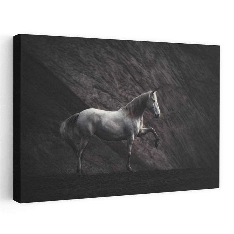 Cheval blanc, sable noir, dramatique, cheval minimaliste, paysage, art mural, H 24 po x l 36 po