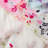 Silk Satin Floral-1194131418