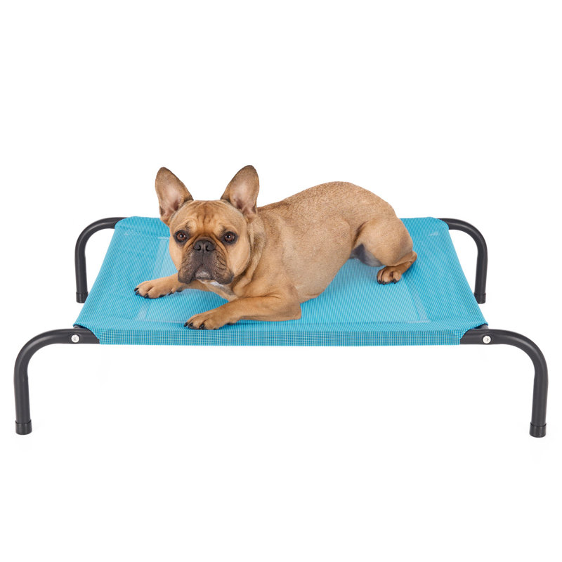 Elevated Cot Pet Bed, 8" H x 25.5" W x 36" D, Blue