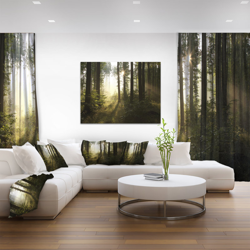 Early Morning Sun Green Forest Landscape Canvas Print