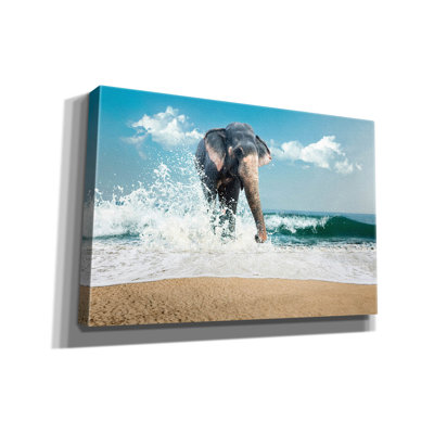 «Éléphant» par PhotoINC Studio