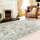 Olsen Oriental Area Rug