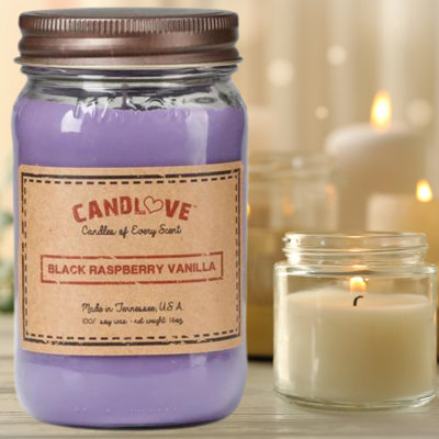 Black Raspberry Vanilla Scented Jar Candle with Glass Holder