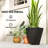 Kise Pot Planter-323524643-322665829