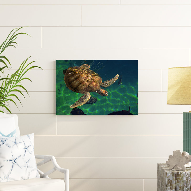 Tortues de mer Égée III, H 20 po x l 30 po x P 1 po