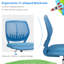 Inbox Zero Office Chair